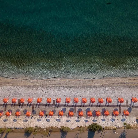 Apartahotel Akrogiali Poros (Kefalonia)
